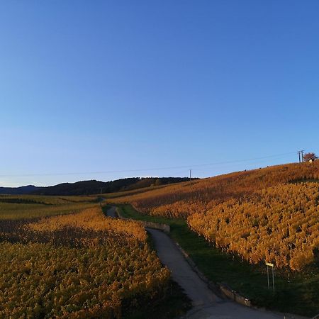 Cocon De Caractere Au Coeur Des Vignes Alsaciennes Daire Bergheim Dış mekan fotoğraf