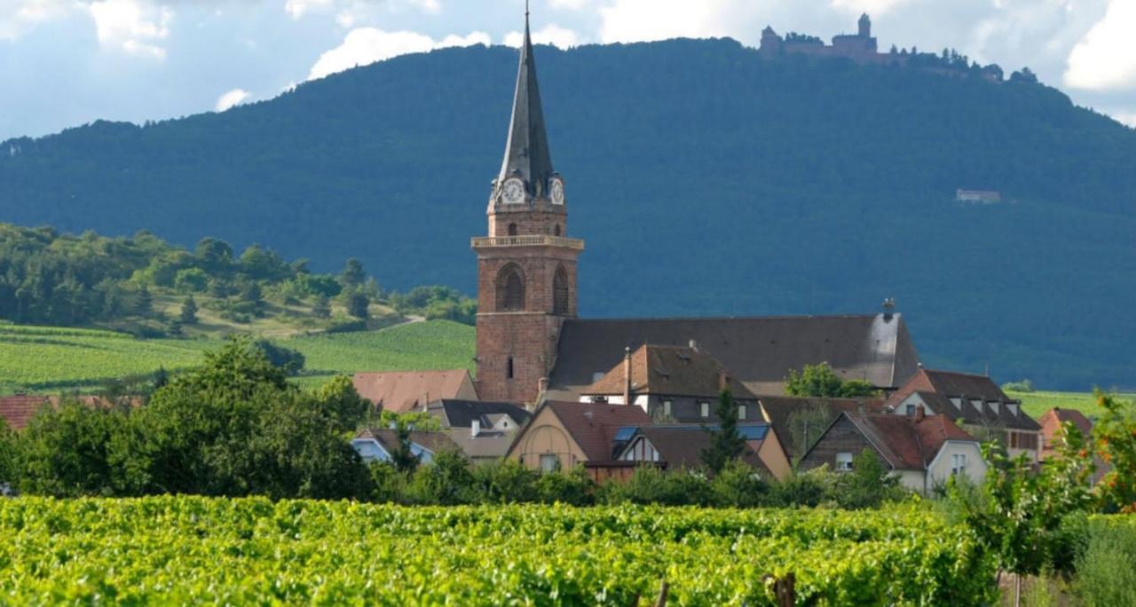 Cocon De Caractere Au Coeur Des Vignes Alsaciennes Daire Bergheim Dış mekan fotoğraf