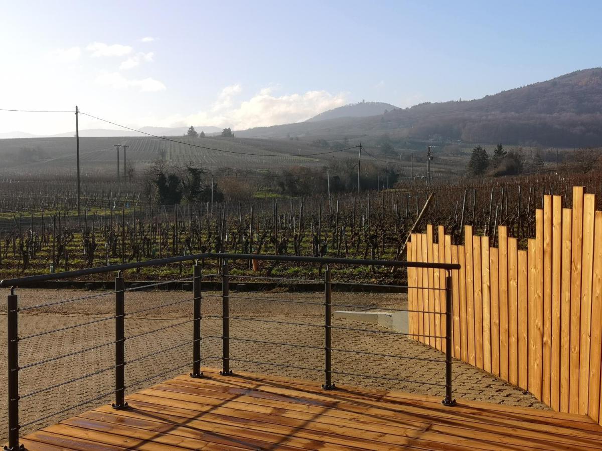 Cocon De Caractere Au Coeur Des Vignes Alsaciennes Daire Bergheim Dış mekan fotoğraf