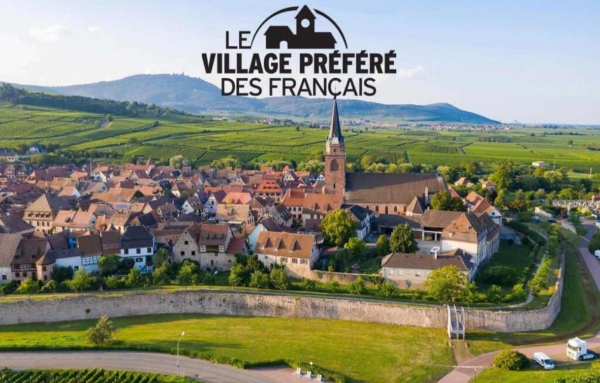 Cocon De Caractere Au Coeur Des Vignes Alsaciennes Daire Bergheim Dış mekan fotoğraf
